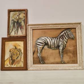 A Collection of Safari Studies